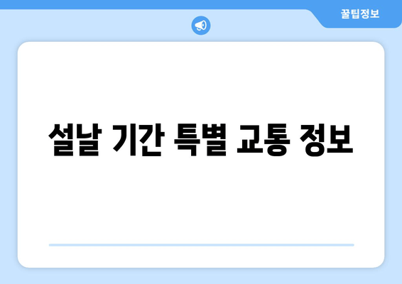 설날 기간 특별 교통 정보