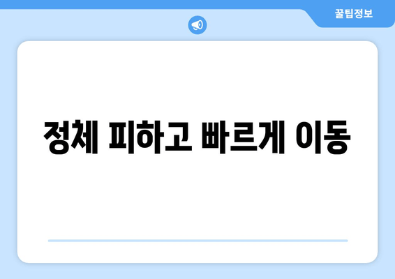 정체 피하고 빠르게 이동