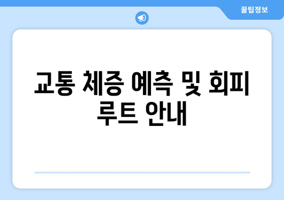 교통 체증 예측 및 회피 루트 안내