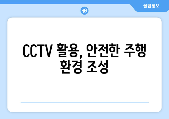 CCTV 활용, 안전한 주행 환경 조성