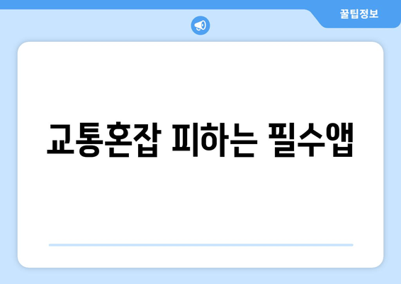 교통혼잡 피하는 필수앱