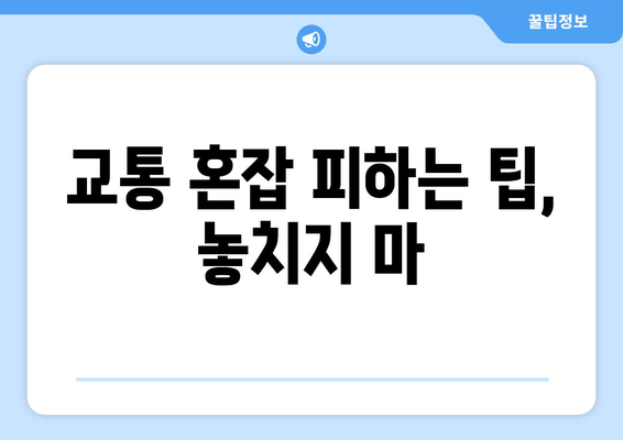 교통 혼잡 피하는 팁, 놓치지 마