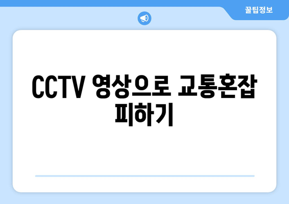 CCTV 영상으로 교통혼잡 피하기