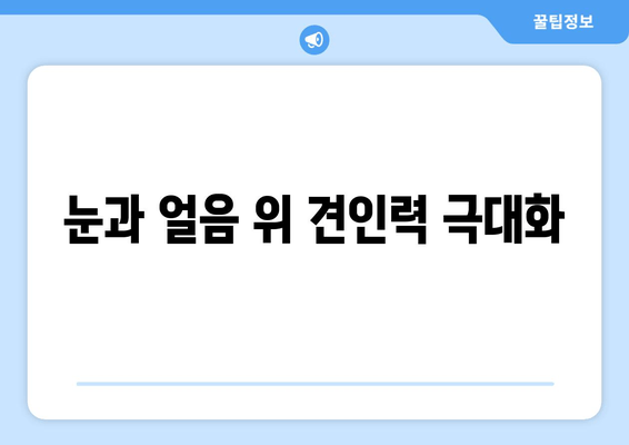 눈과 얼음 위 견인력 극대화