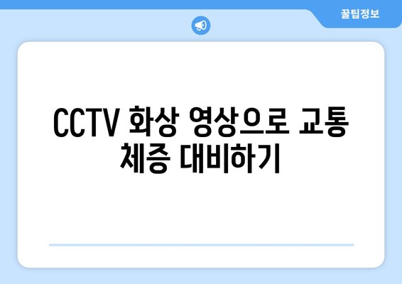 CCTV 화상 영상으로 교통 체증 대비하기