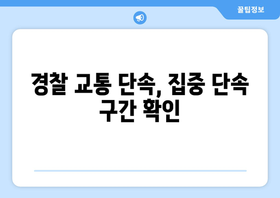 경찰 교통 단속, 집중 단속 구간 확인