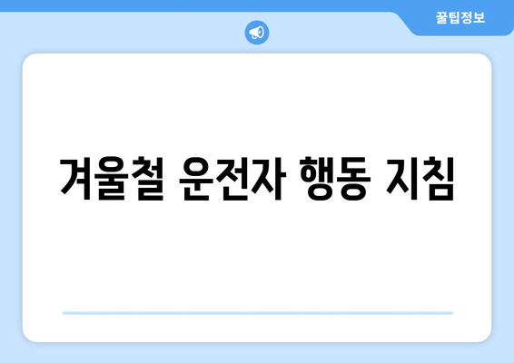 겨울철 운전자 행동 지침