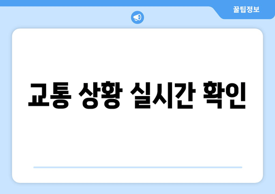 교통 상황 실시간 확인