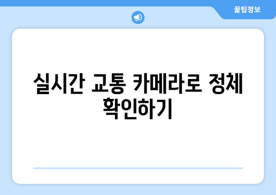 실시간 교통 카메라로 정체 확인하기