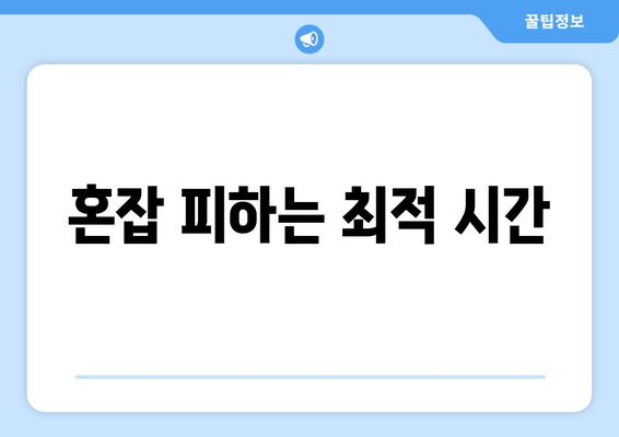 혼잡 피하는 최적 시간