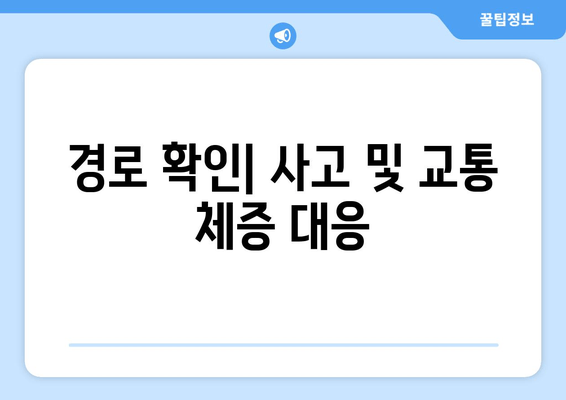 경로 확인| 사고 및 교통 체증 대응