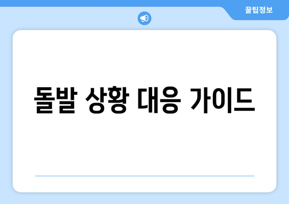 돌발 상황 대응 가이드