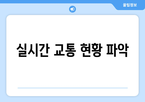 실시간 교통 현황 파악