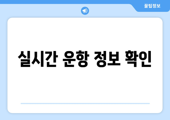 실시간 운항 정보 확인