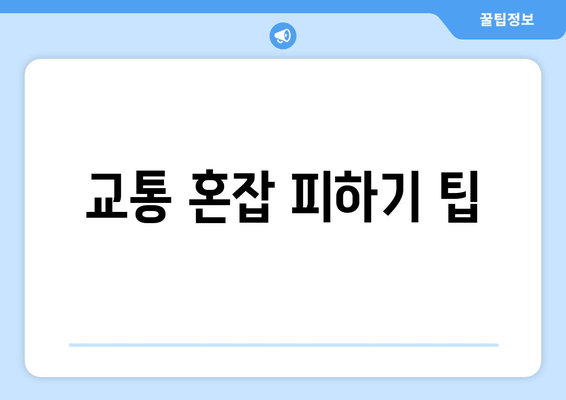 교통 혼잡 피하기 팁