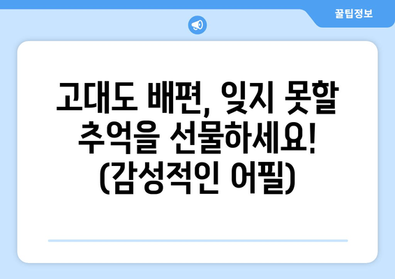 고대도 배편, 잊지 못할 추억을 선물하세요! (감성적인 어필)