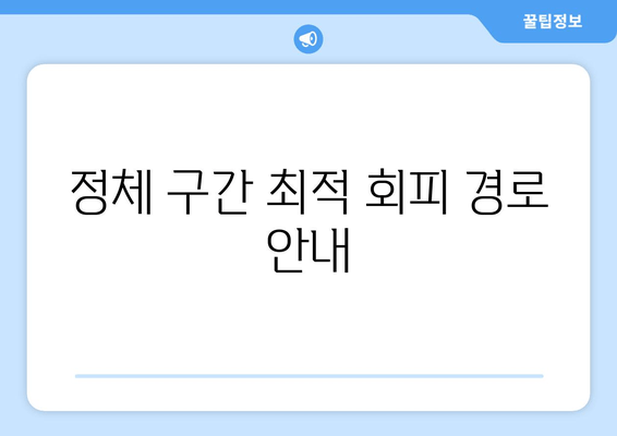 정체 구간 최적 회피 경로 안내