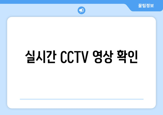 실시간 CCTV 영상 확인