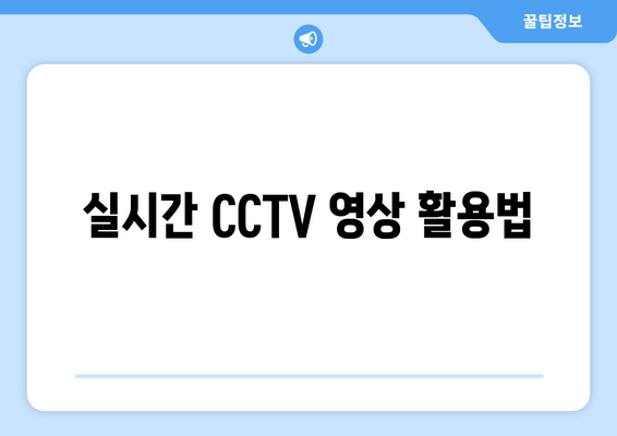 실시간 CCTV 영상 활용법