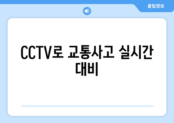 CCTV로 교통사고 실시간 대비