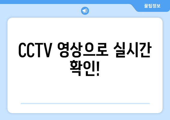 CCTV 영상으로 실시간 확인!