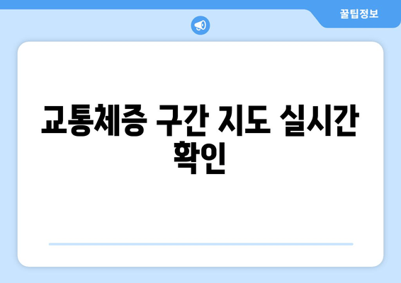 교통체증 구간 지도 실시간 확인