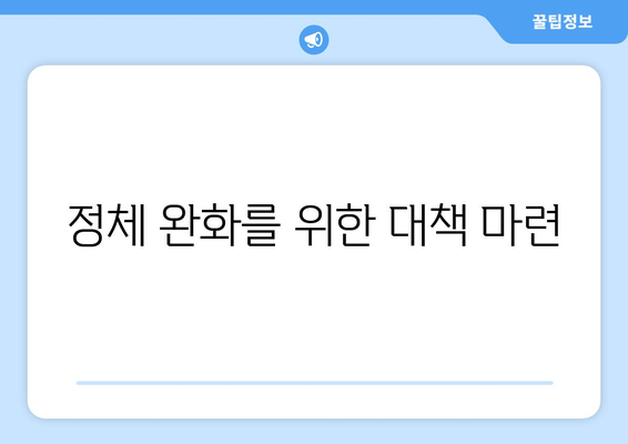 정체 완화를 위한 대책 마련