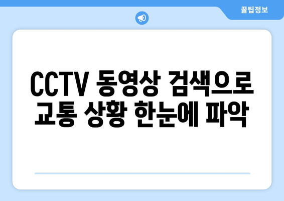 CCTV 동영상 검색으로 교통 상황 한눈에 파악