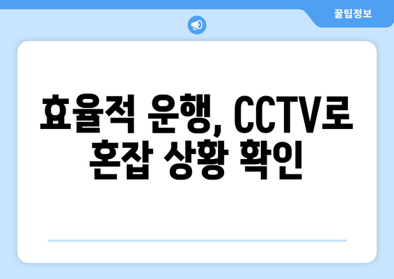 효율적 운행, CCTV로 혼잡 상황 확인