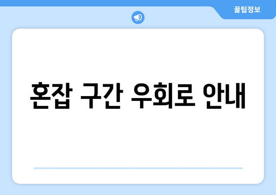 혼잡 구간 우회로 안내