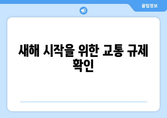 새해 시작을 위한 교통 규제 확인