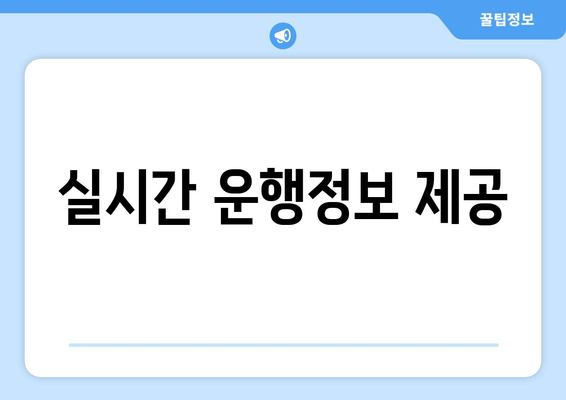 실시간 운행정보 제공