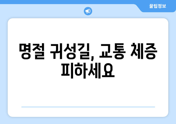 명절 귀성길, 교통 체증 피하세요