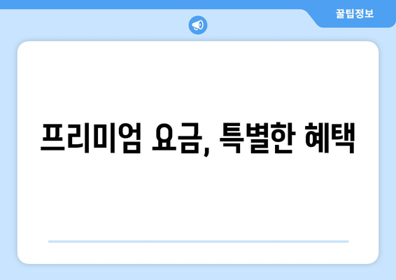 프리미엄 요금, 특별한 혜택