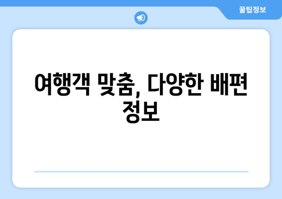 여행객 맞춤, 다양한 배편 정보