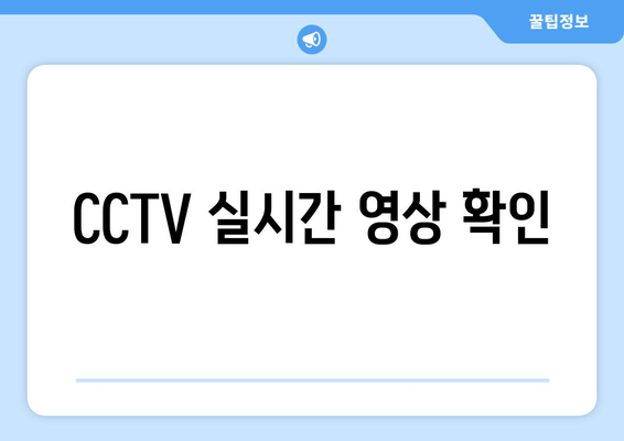 CCTV 실시간 영상 확인