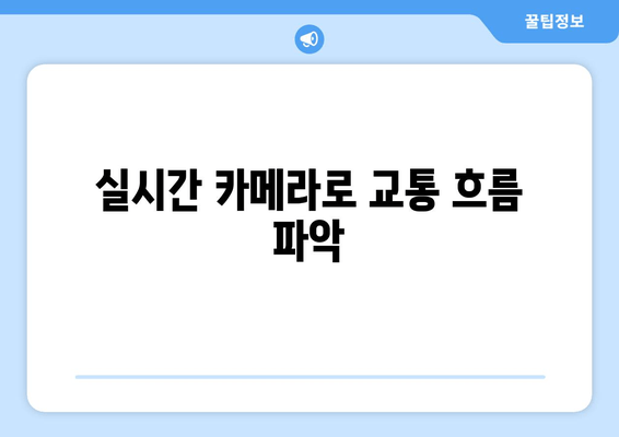 실시간 카메라로 교통 흐름 파악