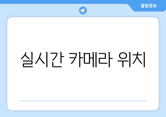 실시간 카메라 위치