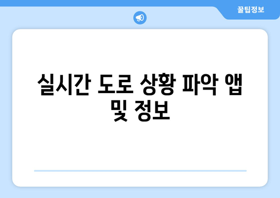 실시간 도로 상황 파악 앱 및 정보