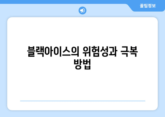 블랙아이스의 위험성과 극복 방법