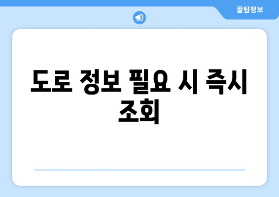 도로 정보 필요 시 즉시 조회