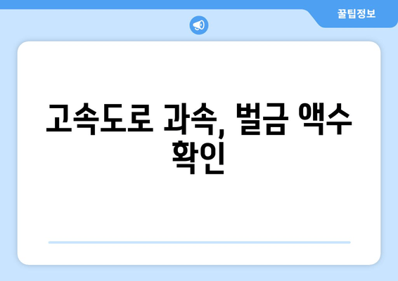 고속도로 과속, 벌금 액수 확인