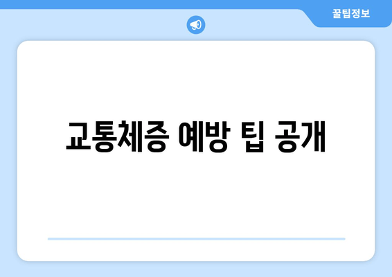 교통체증 예방 팁 공개