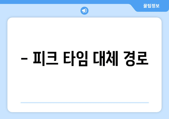 - 피크 타임 대체 경로