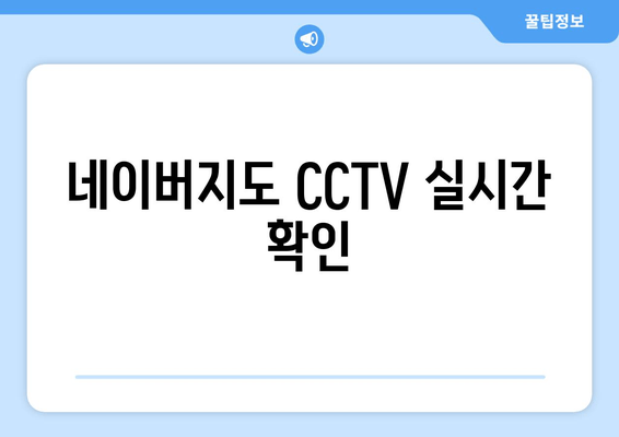 네이버지도 CCTV 실시간 확인