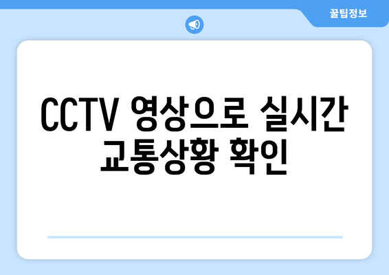 CCTV 영상으로 실시간 교통상황 확인