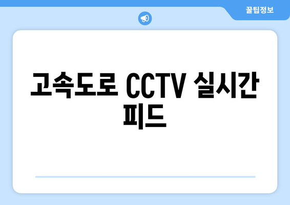 고속도로 CCTV 실시간 피드