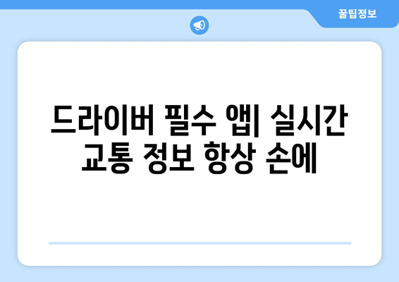 드라이버 필수 앱| 실시간 교통 정보 항상 손에