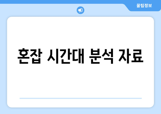 혼잡 시간대 분석 자료