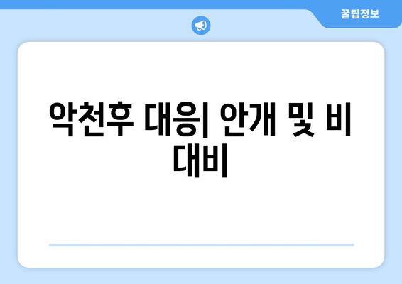 악천후 대응| 안개 및 비 대비